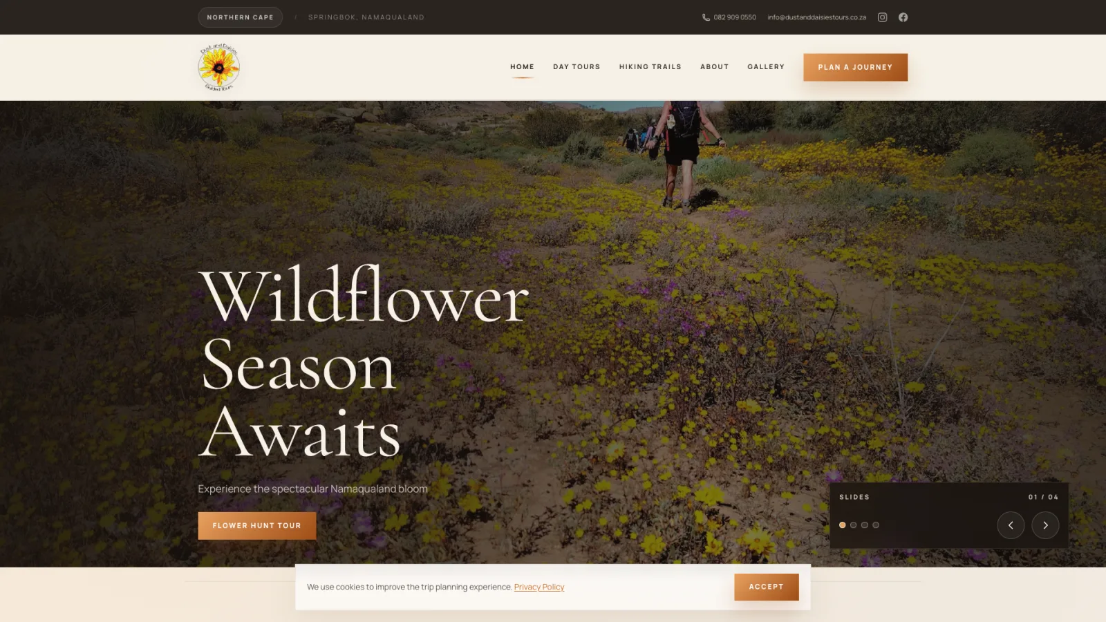 Dust and Daisies Tours project preview